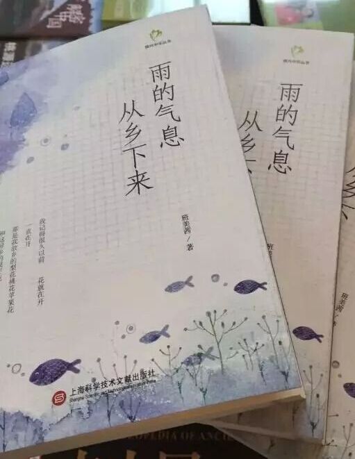 班美茜:雨的气息从乡下来